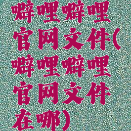 噼哩噼哩官网文件(噼哩噼哩官网文件在哪)