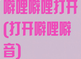 噼哩噼哩打开(打开噼哩噼音)
