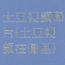 土豆视频照片(土豆视频在哪里)