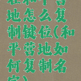 在和平营地怎么复制键位(和平营地如何复制名字)