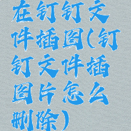 在钉钉文件插图(钉钉文件插图片怎么删除)