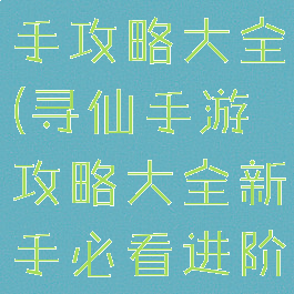 寻仙手游新手攻略大全(寻仙手游攻略大全新手必看进阶攻略)