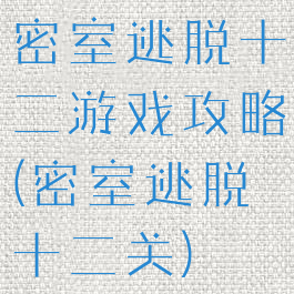 密室逃脱十二游戏攻略(密室逃脱十二关)