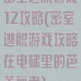 密室逃脱游戏12攻略(密室逃脱游戏攻略在电梯里的芭蕾舞者)
