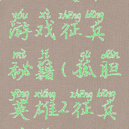 孤胆英雄游戏征兵秘籍(孤胆英雄2征兵秘籍)