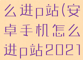 安卓手机怎么进p站(安卓手机怎么进p站2021)