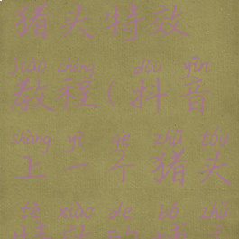 安卓抖音猪头特效教程(抖音上一个猪头特效的博主名字)