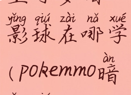 宝可梦暗影球在哪学(pokemmo暗影球)