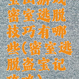 宝山游戏密室逃脱技巧有哪些(密室逃脱盗宝记攻略)