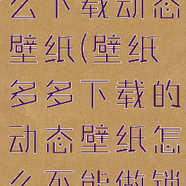 壁纸多多怎么下载动态壁纸(壁纸多多下载的动态壁纸怎么不能做锁屏)