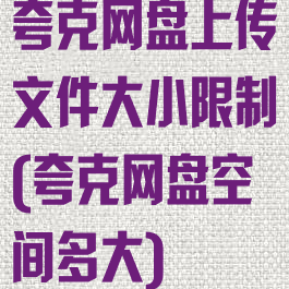 夸克网盘上传文件大小限制(夸克网盘空间多大)