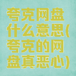 夸克网盘什么意思(夸克的网盘真恶心)