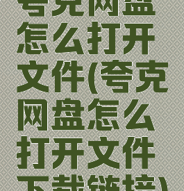夸克网盘怎么打开文件(夸克网盘怎么打开文件下载链接)