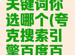 夸克2020关键词你选哪个(夸克搜索引擎百度百科)
