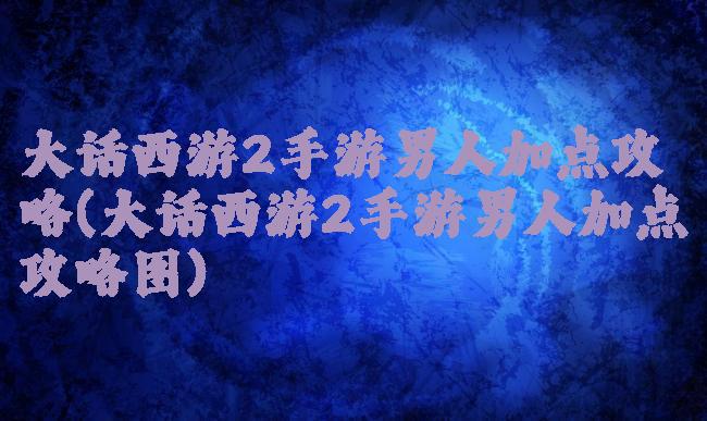 大话西游2手游男人加点攻略(大话西游2手游男人加点攻略图)