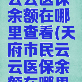 天府市民云云医保余额在哪里查看(天府市民云云医保余额在哪里查看啊)