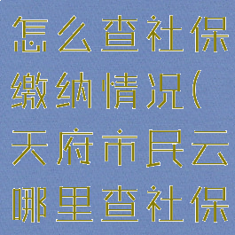 天府市民云怎么查社保缴纳情况(天府市民云哪里查社保)