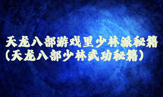 天龙八部游戏里少林派秘籍(天龙八部少林武功秘籍)