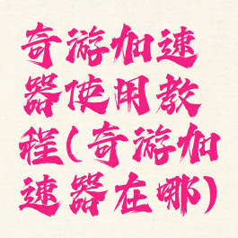 奇游加速器使用教程(奇游加速器在哪)