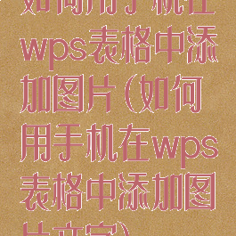 如何用手机在wps表格中添加图片(如何用手机在wps表格中添加图片文字)