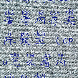 如何用cpuz查看内存实际频率(cpu怎么看内存频率)