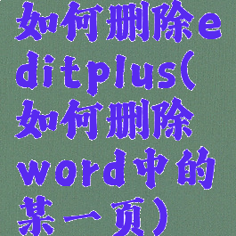 如何删除editplus(如何删除word中的某一页)