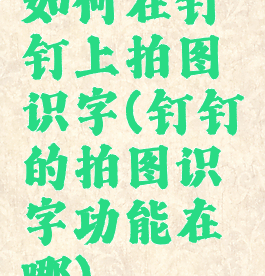 如何在钉钉上拍图识字(钉钉的拍图识字功能在哪)