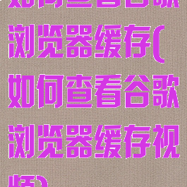 如何查看谷歌浏览器缓存(如何查看谷歌浏览器缓存视频)