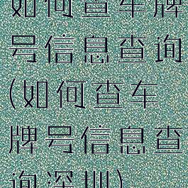 如何查车牌号信息查询(如何查车牌号信息查询深圳)