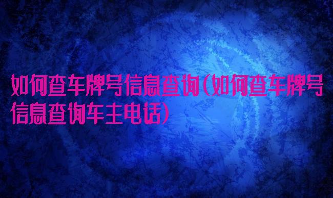 如何查车牌号信息查询(如何查车牌号信息查询车主电话)