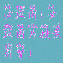 必应图(必应图片搜索引擎)