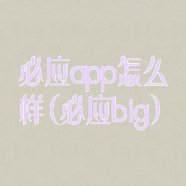必应app怎么样(必应big)