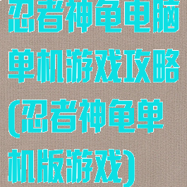 忍者神龟电脑单机游戏攻略(忍者神龟单机版游戏)