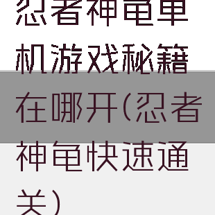 忍者神龟单机游戏秘籍在哪开(忍者神龟快速通关)