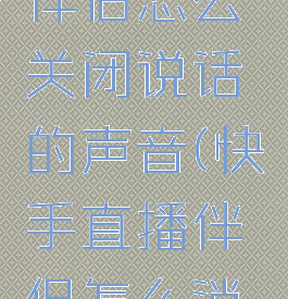 快手直播伴侣怎么关闭说话的声音(快手直播伴侣怎么消除杂音)