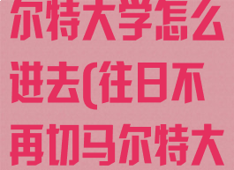 往日不再切马尔特大学怎么进去(往日不再切马尔特大学怎么进去)