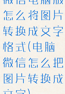 微信电脑版怎么将图片转换成文字格式(电脑微信怎么把图片转换成文字)