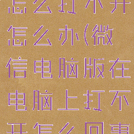 微信电脑版怎么打不开怎么办(微信电脑版在电脑上打不开怎么回事)