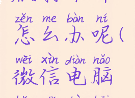 微信电脑版打不开怎么办呢(微信电脑版打不开怎么回事)