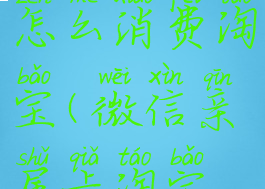 微信亲属卡怎么消费淘宝(微信亲属卡淘宝怎么用)