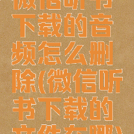 微信听书下载的音频怎么删除(微信听书下载的文件在哪)