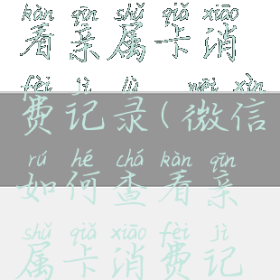 微信如何查看亲属卡消费记录(微信如何查看亲属卡消费记录呢)