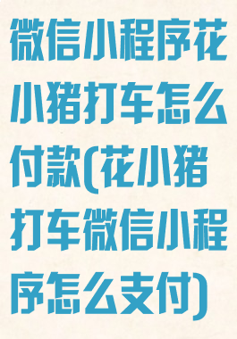 微信小程序花小猪打车怎么付款(花小猪打车微信小程序怎么支付)