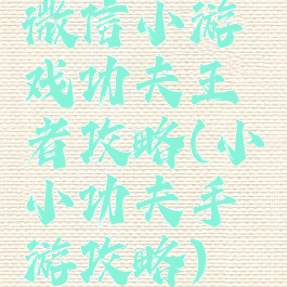 微信小游戏功夫王者攻略(小小功夫手游攻略)