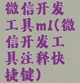 微信开发工具m1(微信开发工具注释快捷键)