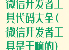 微信开发者工具代码大全(微信开发者工具是干嘛的)