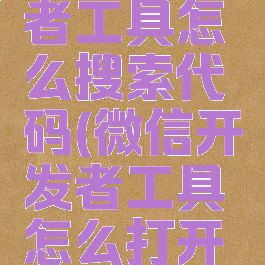 微信开发者工具怎么搜索代码(微信开发者工具怎么打开项目)
