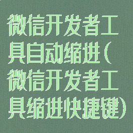 微信开发者工具自动缩进(微信开发者工具缩进快捷键)