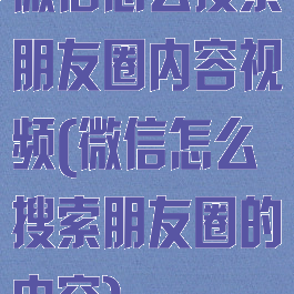 微信怎么搜索朋友圈内容视频(微信怎么搜索朋友圈的内容)