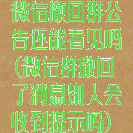 微信撤回群公告还能看见吗(微信群撤回了消息别人会收到提示吗)